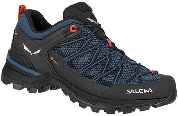 Salewa Mtn Trainer Lite Goretex Wanderschuhe blau