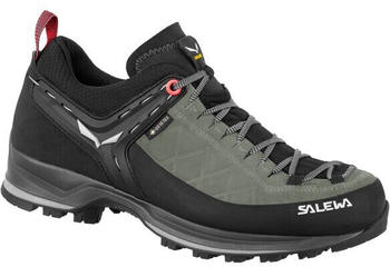 Salewa Women's Mountain Trainer 2 GTX (00-00000613585190) shadow/black