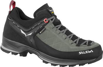 Salewa Mountain Trainer 2 GORE-TEX Damenschuhe schwarz