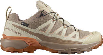 Salomon X Ultra 360 Edge GTX Schuhe beige