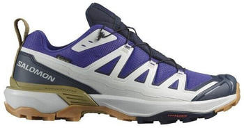 Salomon X Ultra 360 Edge GTX Schuhe blau