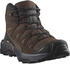 Salomon X Ultra 360 Leather Mid GTX