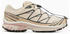 Salomon XT-6 GTX