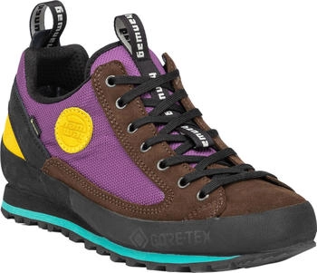 Hanwag Rotpunkt Low GTX Schuhe braun