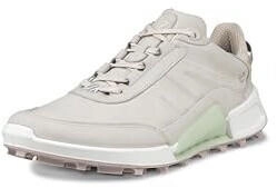 Ecco Biom 2 1 X Mountain Shoes grau