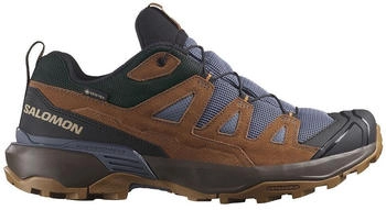 Salomon X Ultra 360 LTR GTX Multifunktionsschuhe braun
