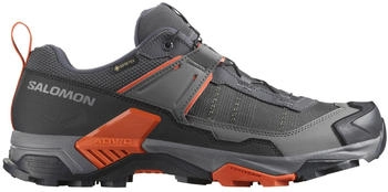 Salomon X Ultra 5 GORE-TEX Multisportschuhe grau asphalt castlerock burntochre
