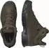 Salomon X Ultra Tracker GORE-TEX Ranger Green Earth Brown Black