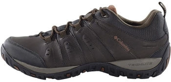 Columbia Woodburn II WP (1553001-232) brown