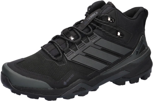 Adidas Terrex Skychaser Mid GTX Schuhe schwarz
