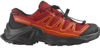 Salomon X Ultra GORE-TEX Multisportschuhe rot schwarz