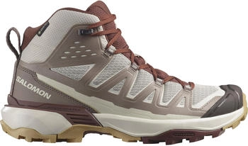Salomon x Ultra 360 Edge Mid GTX Women silver cloud/iron/rum raisin