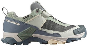 Salomon X Ultra 5 GTX Schuhe gruen