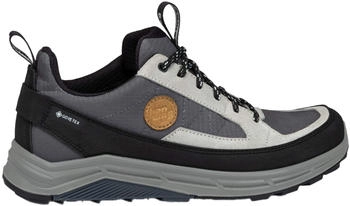 Hanwag Rotpunkt Light Low GTX Schuhe grau