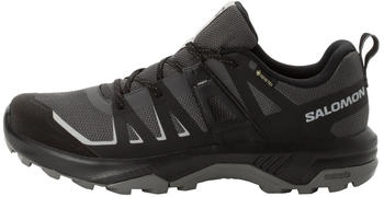 Salomon Extend GTX (L47809000) asphalt/black/pewter