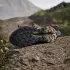 Adidas Women's Terrex Trailmaker 2