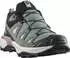 Salomon X Ultra 360 Leather GORE-TEX green milieu/sedona sage/nirvana