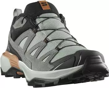 Salomon X Ultra 360 LTR GTX grau