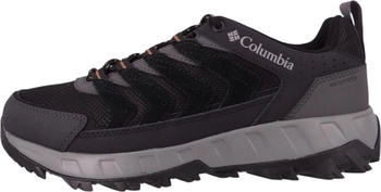 Columbia Strata Trail black elk