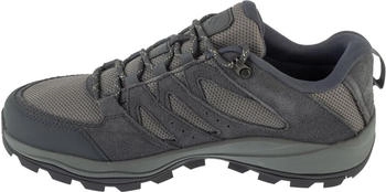 Columbia Redmond&trade; IV graphite/citron haze