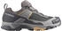 Salomon X Ultra 5 Gtx taupe/dunkelgrau/grau