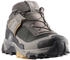 Salomon X Ultra 5 Gtx taupe/dunkelgrau/grau