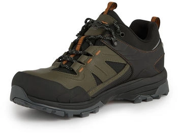 Regatta Regen Hiking Shoes grün