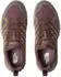 The North Face Hedgehog GTX Women (NF0A8AAB) tawny quartz/new taupe
