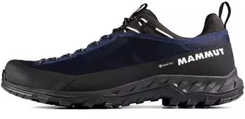 Mammut Alnasca IV Low GTX (Herren)