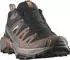 Salomon X Ultra 360 black/dark gull gray/dark earth