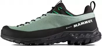 Mammut Alnasca IV Low GTX (Herren)