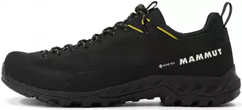 Mammut Alnasca IV Low LTH GTX (Herren)