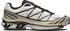 Salomon XT-6