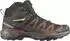 Salomon X-Ultra 360 Mid Goretex