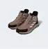 Adidas TERREX ANYLANDER MID beige/ecru/schoko/mint
