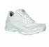 Haix EVO Adventure GTX low/white-silver