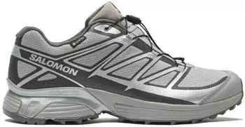 Salomon Xt-Pathway GTX silber