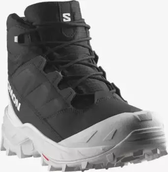 Salomon Crosstrak WP