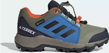 Adidas Terrex Gore-Tex Hiking Kids