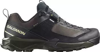 Salomon X Ultra Alpine GTX (Herren)