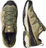 Salomon X Ultra 360 Leather aloe/martini olive/willow (Herren) (L47998400)
