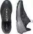 Salomon Elixir Activ GTX carbon/sharkskin/slate green (Herren) (L47455800)