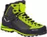 Salewa Crow GTX cactus/sulphur spring