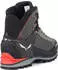 Salewa Crow GTX cactus/sulphur spring