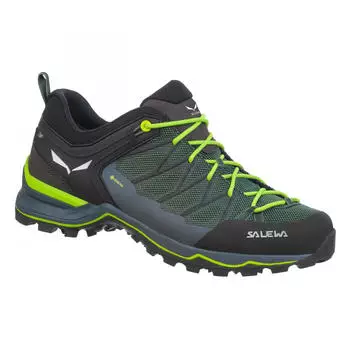 Salewa Mountain Trainer Lite GTX (61361) green myrtle/ombre blue
