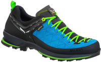 Salewa 61356-8375-6,5, Salewa Wanderschuhe MTN Trainer 2 GTX (Zustieg, wasserdicht)