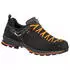 Salewa Mountain Trainer 2 GTX (61356)