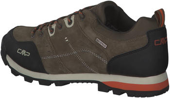 CMP Alcor Low brown