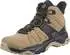 Salomon X Ultra 4 MID GTX kelp/black/safar
