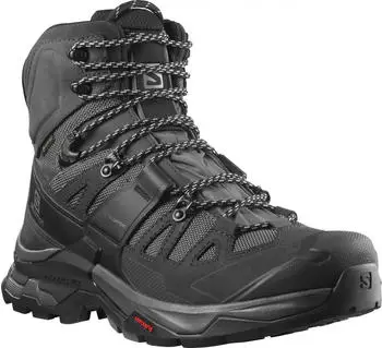 Salomon Quest 4 GTX magnet/black/quarry